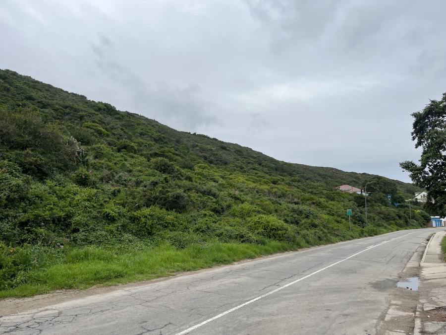 0 Bedroom Property for Sale in Amsterdamhoek Eastern Cape
